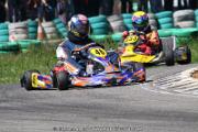 20110501_ales_agnus (3208)